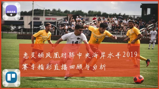 惠灵顿凤凰对阵中央海岸水手2019赛季精彩直播回顾与分析