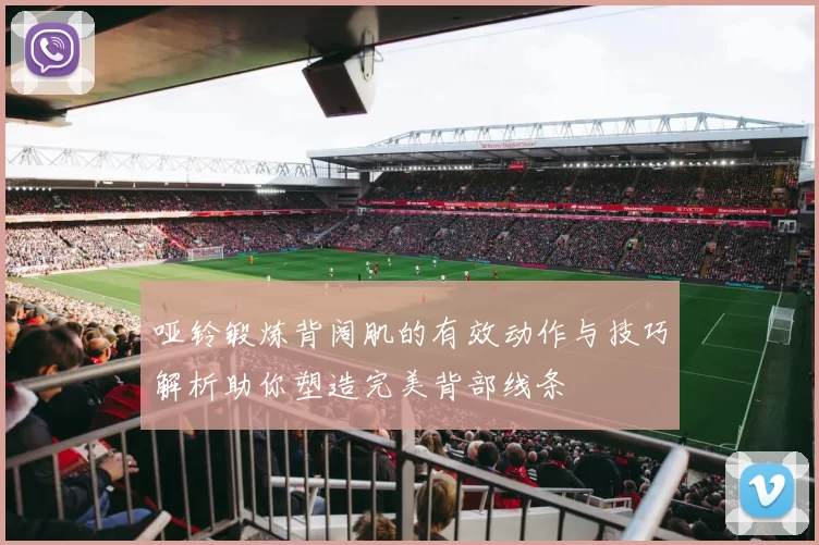 哑铃锻炼背阔肌的有效动作与技巧解析助你塑造完美背部线条