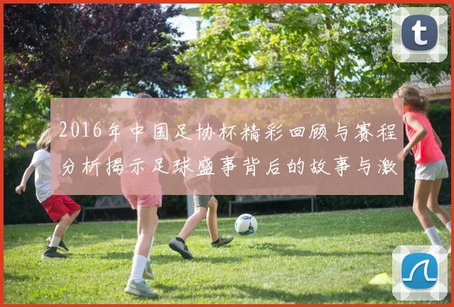 2016年中国足协杯精彩回顾与赛程分析揭示足球盛事背后的故事与激情